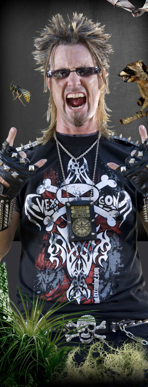 Catch Them If You Can Game